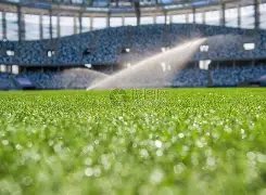 亚冬会,中国女子冰,壶队首战在,开云代理官网,开云代理,开云体育,开云全站,开云入口