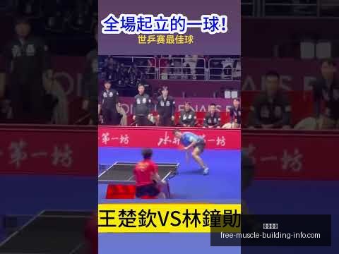 开云代理,开云代理官网,开云体育,开云代理官网,开云代理,开云体育,开云全站,开云入口