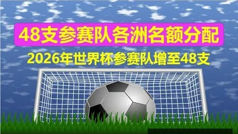 开云代理，开云全站， 084216 5