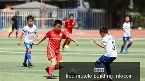 开云代理 084245 7